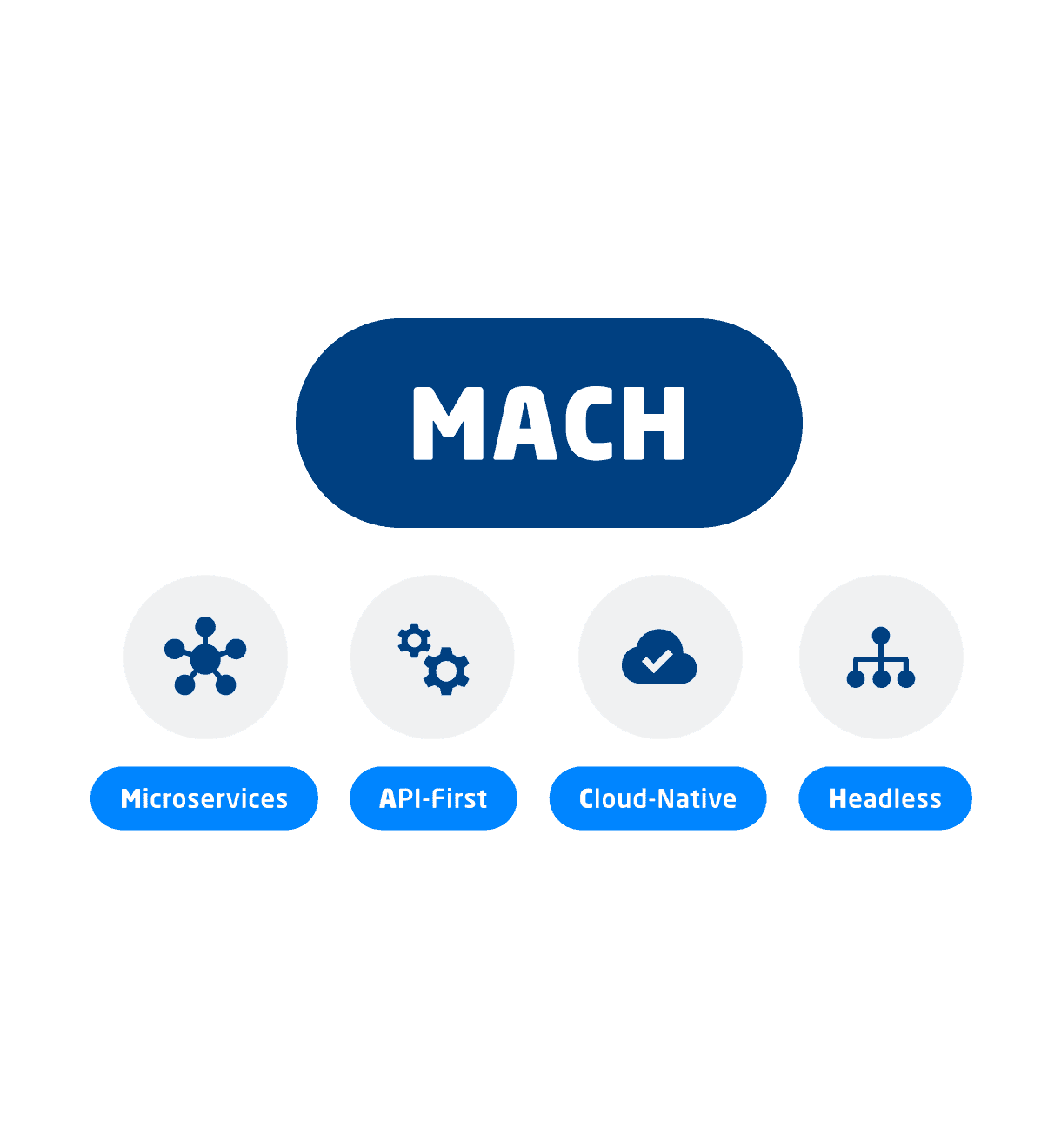 Infografik MACH Architektur 