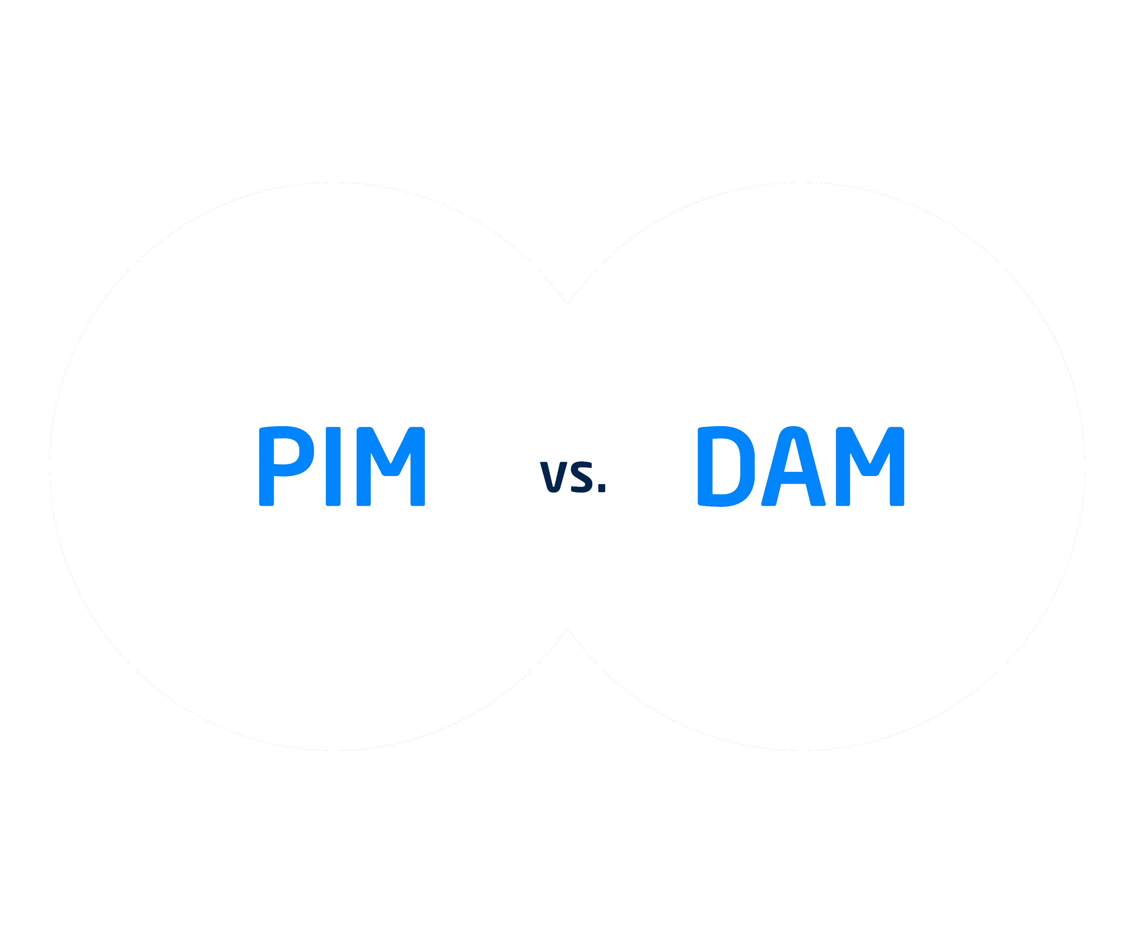 PIM vs DAM