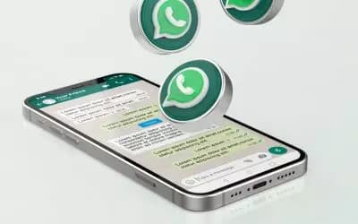  WhatsApp – Vom Nachrichtendienst zum Shopping-Kanal?